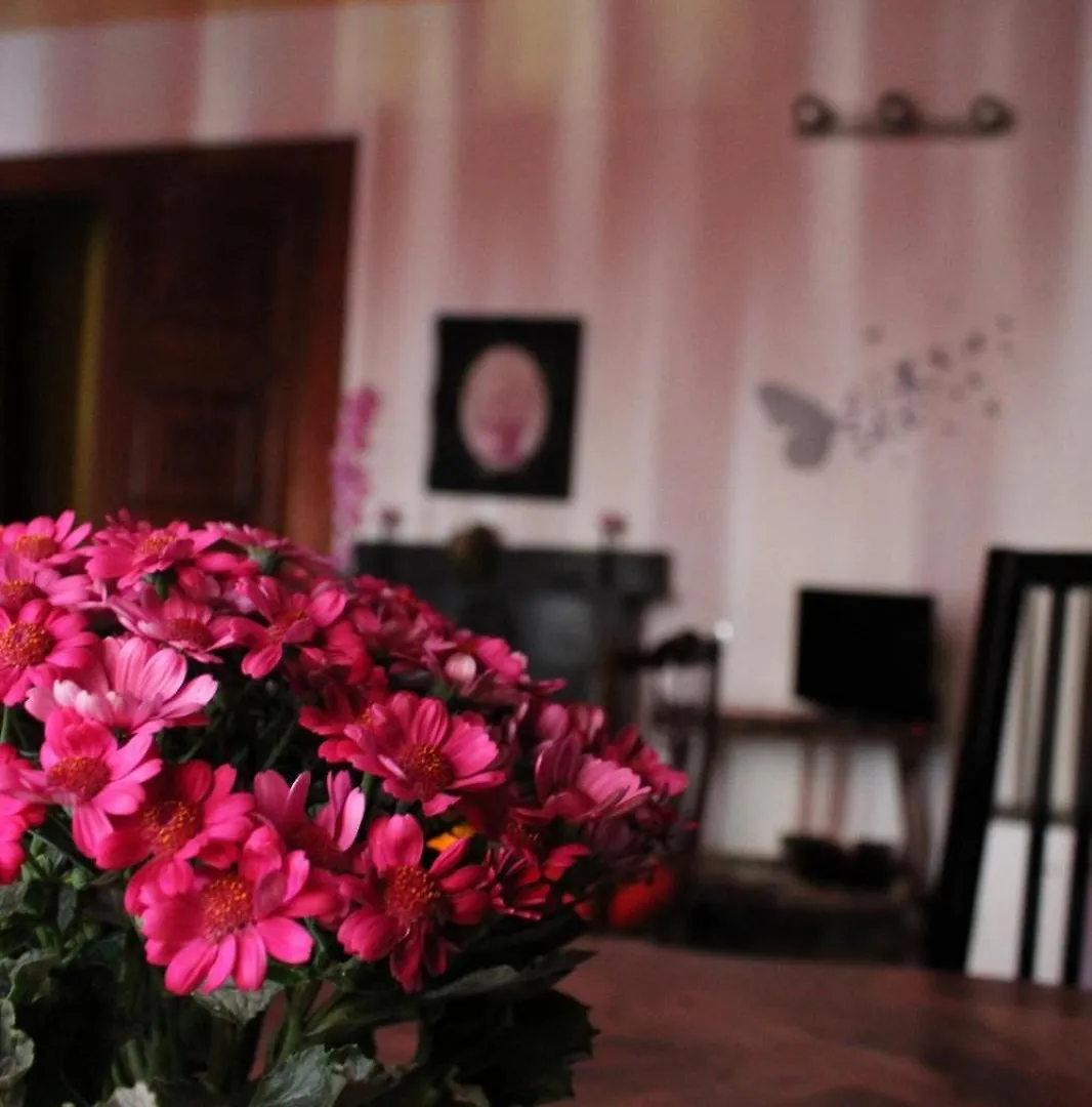 B&B Amarantha Gothica Genoa 0*,  Italy